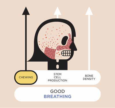 Breath third chapter